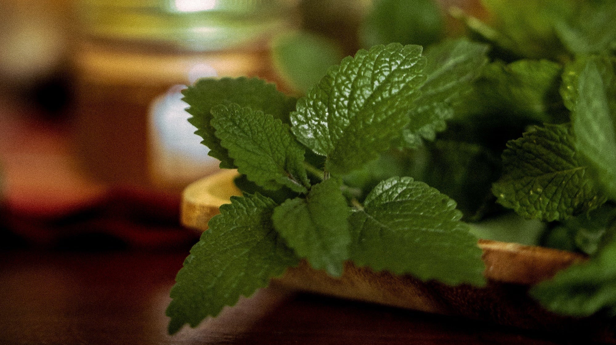 Sweet Mint Mojito Mocktail