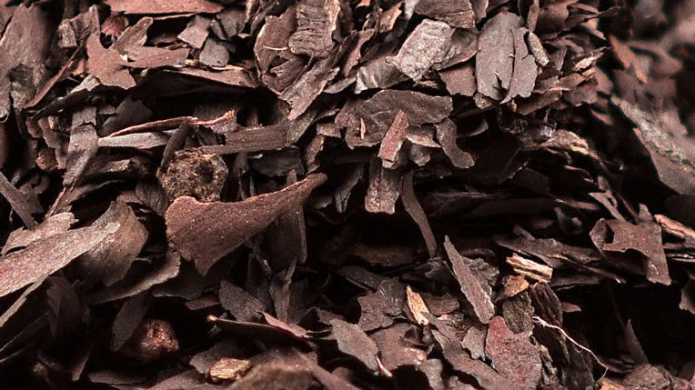 Alkanet Root: Plant-Based Color for Lip & Body Care