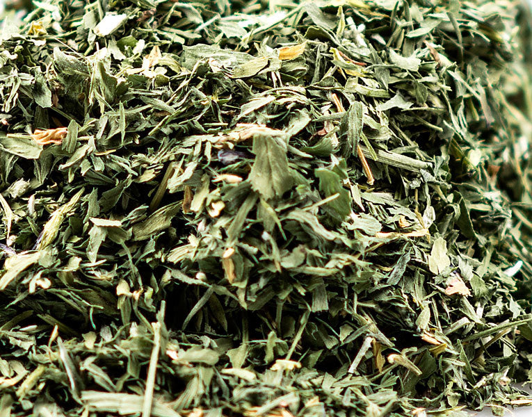 Alfalfa Leaf