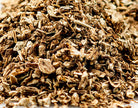 Angelica Root
