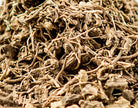 Blue Cohosh Root