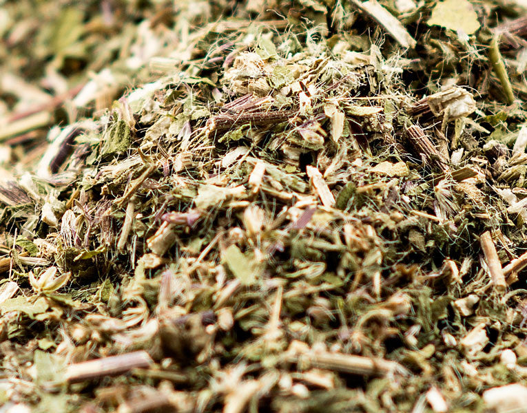 Boneset, Aerial Parts