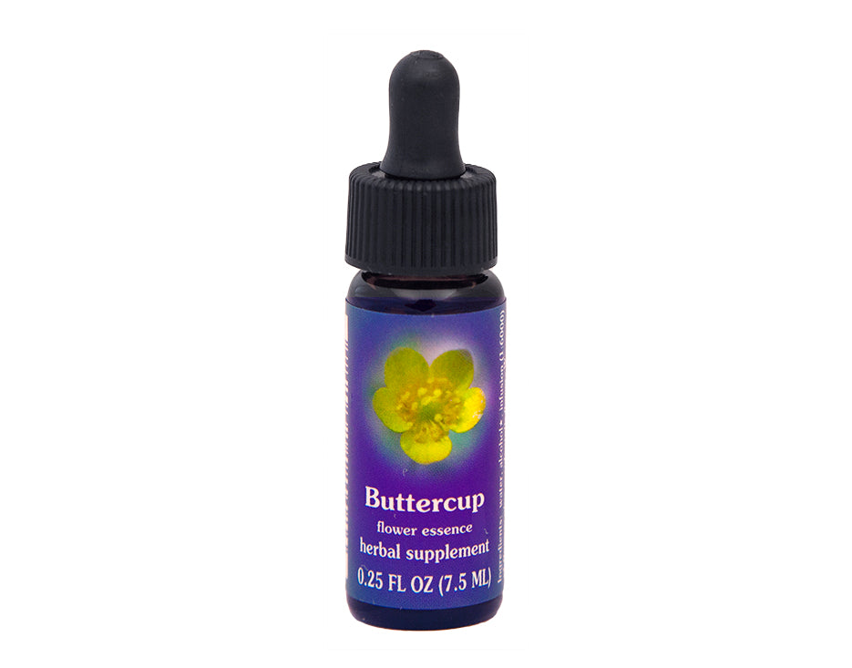 Buttercup Flower Essence Rebecca's Herbal Apothecary