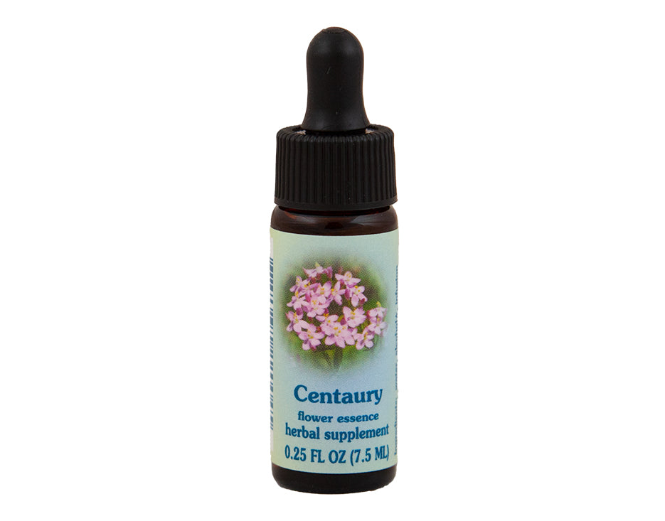 Centaury Flower Essence Rebecca's Herbal Apothecary