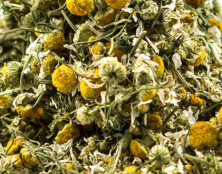 Chamomile (German), Flower