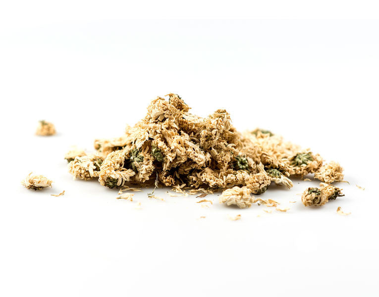 Chrysanthemum Flower