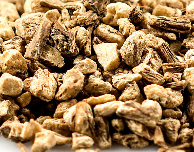Dong Quai Root