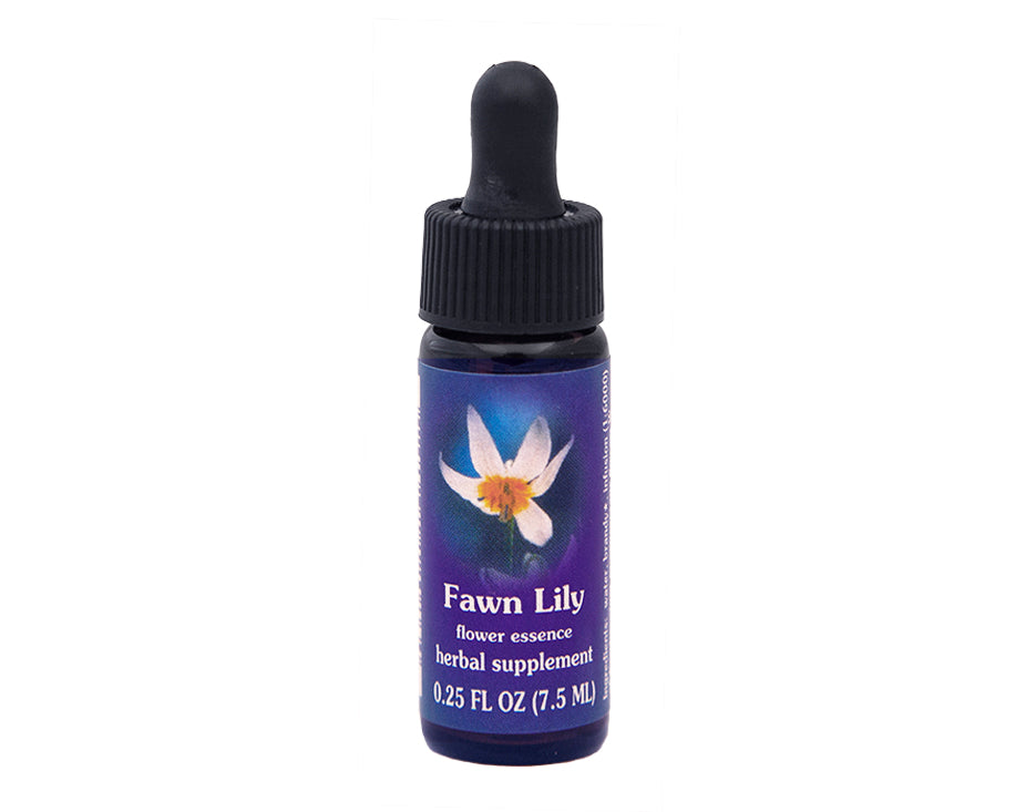 Fawn Lily Flower Essence Rebecca's Herbal Apothecary