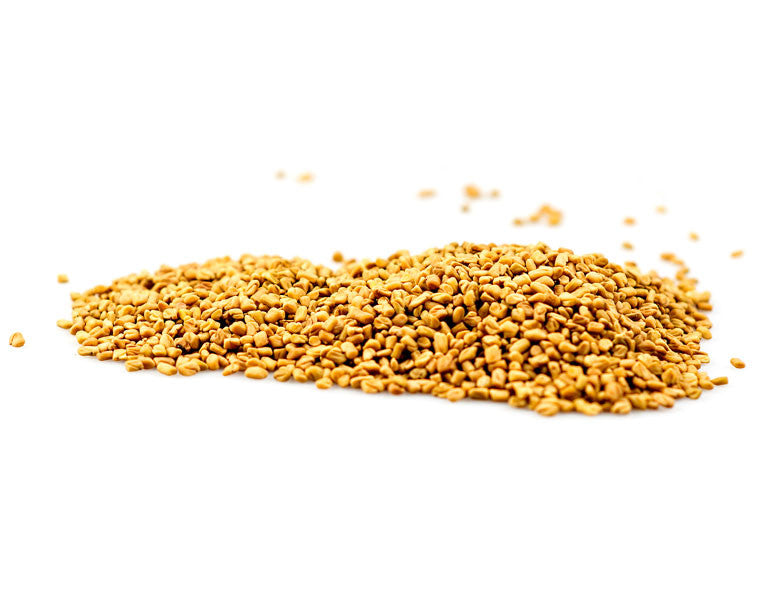 Fenugreek Seed