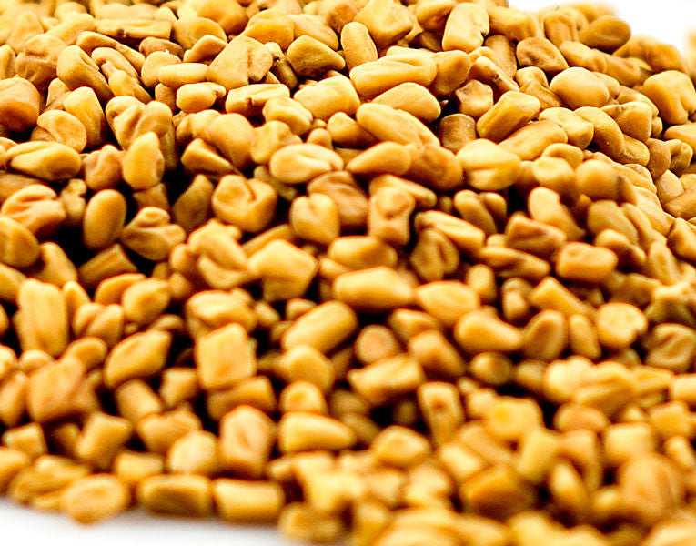 Fenugreek Seed