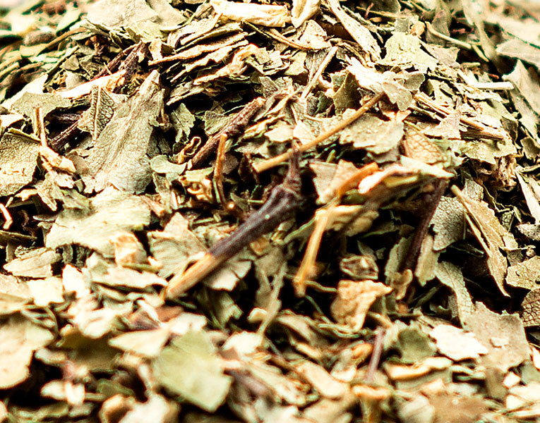 Hawthorne Leaf & Flower