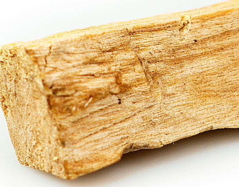 Palo Santo Wood