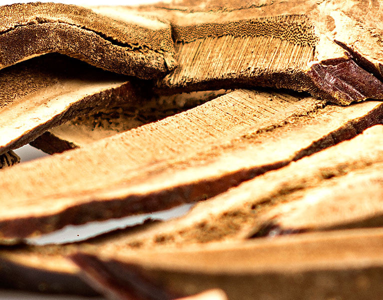 Reishi Mushroom, Slices