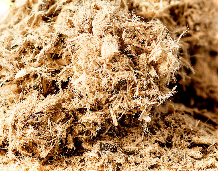 Slippery Elm Bark, Shredded