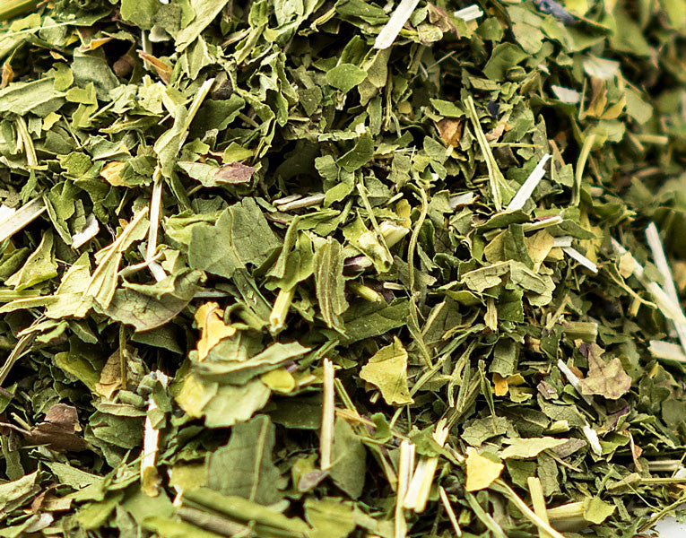 Skullcap, Aerial Parts