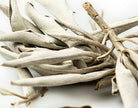 Sage Leaf, White (Ceremonial)