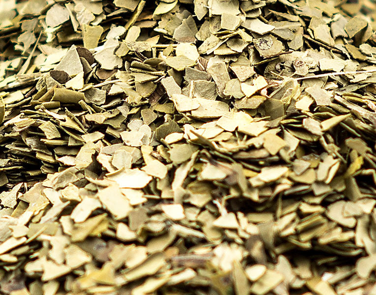 Yerba Mate Leaf