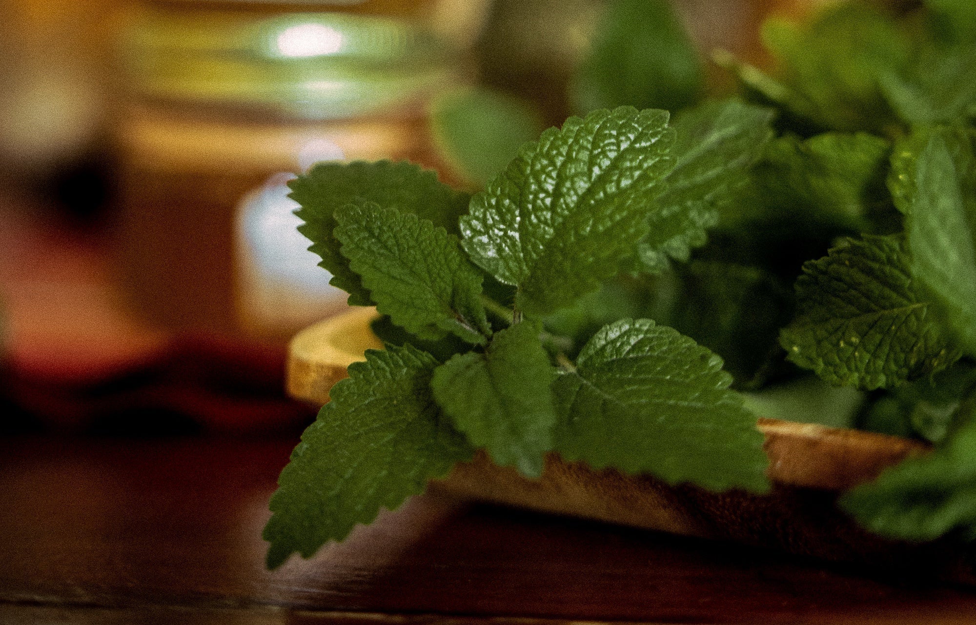 Sweet Mint Mojito Mocktail