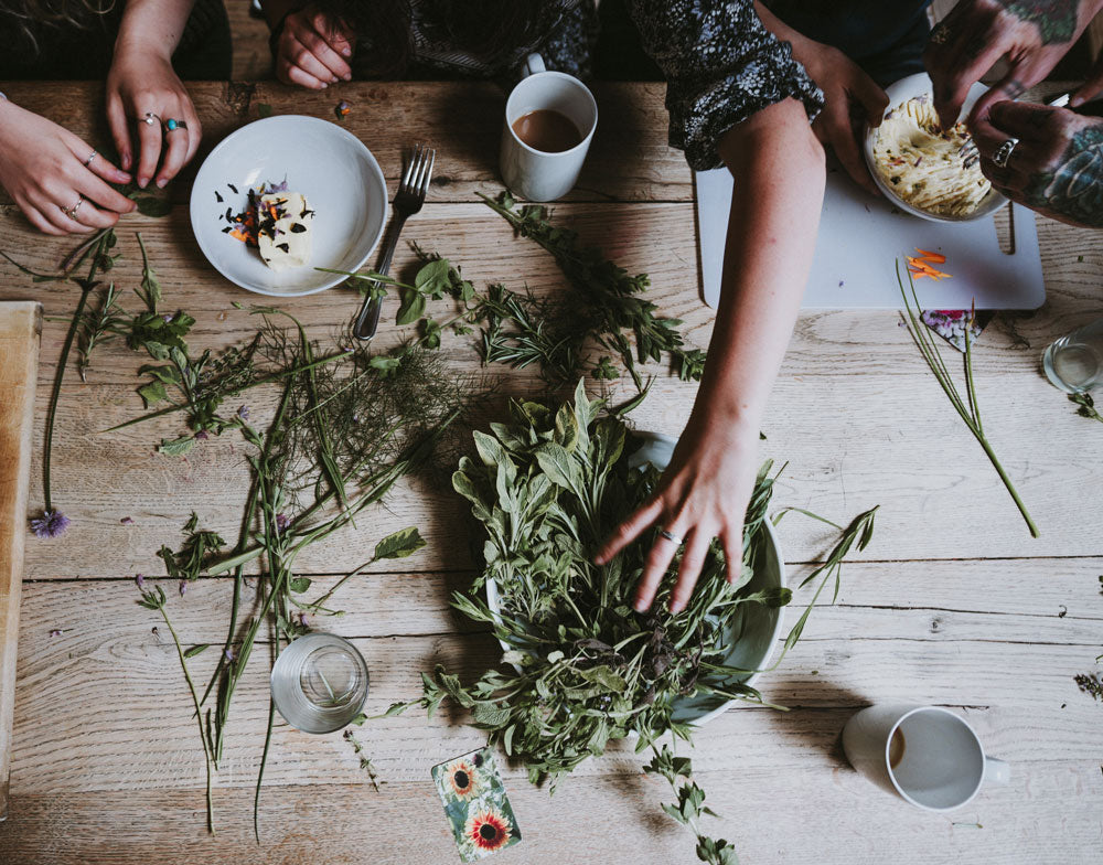 Sweet Mint Tea – Rebecca's Herbal Apothecary
