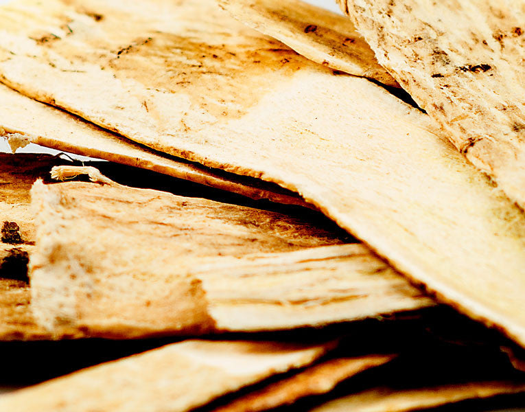 Astragalus Root, Slices