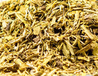 Barberry Root