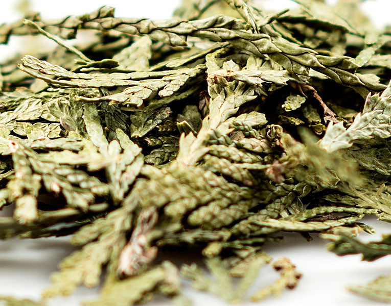 Cedar Leaf, Tips
