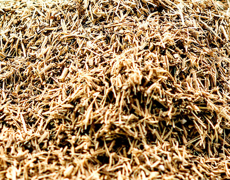 Eleuthero Root