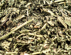 Lemon Balm