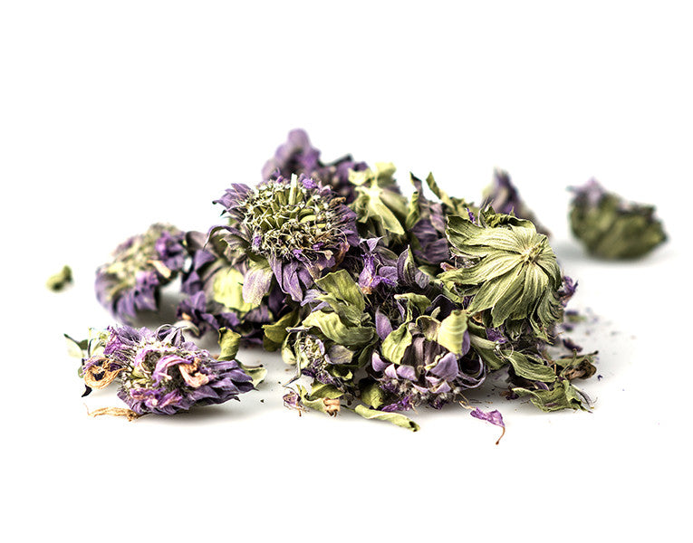 Monarda (Lemon Bee balm) Flower