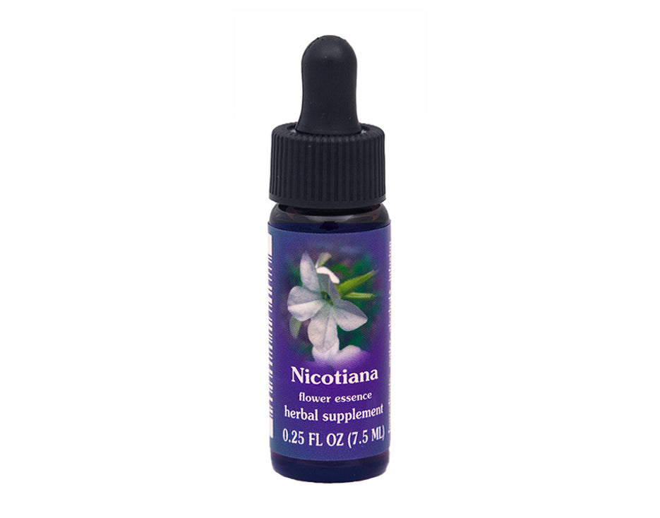 tobacco flower essence Indian The FES Quintessentials were developed to meet the needs of modern consciousness Nicotiana Flower Essence: Numbing Out