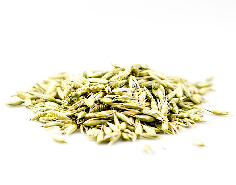 Oat Tops, Milky Stage