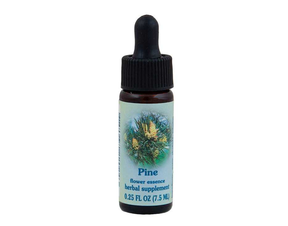 Pine Flower Essence Rebecca's Herbal Apothecary