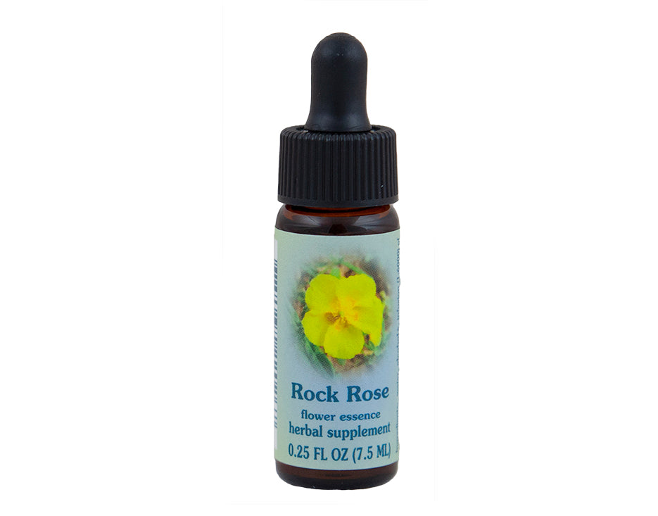 Rock Rose Flower Essence – Rebecca's Herbal Apothecary