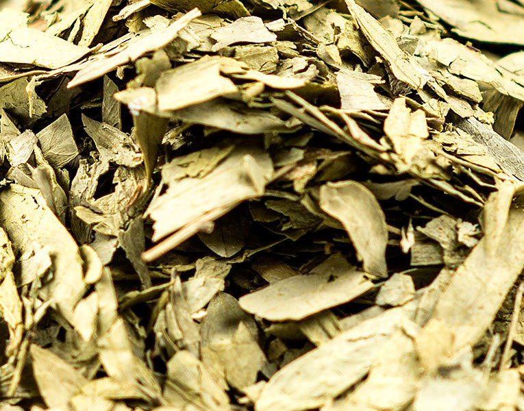 Senna Leaf