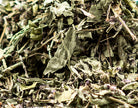 Basil Leaf