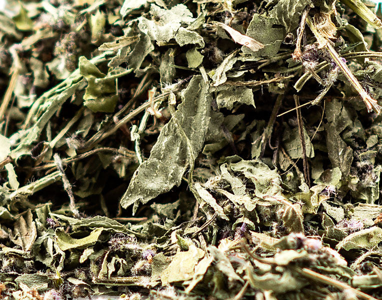 Basil Leaf