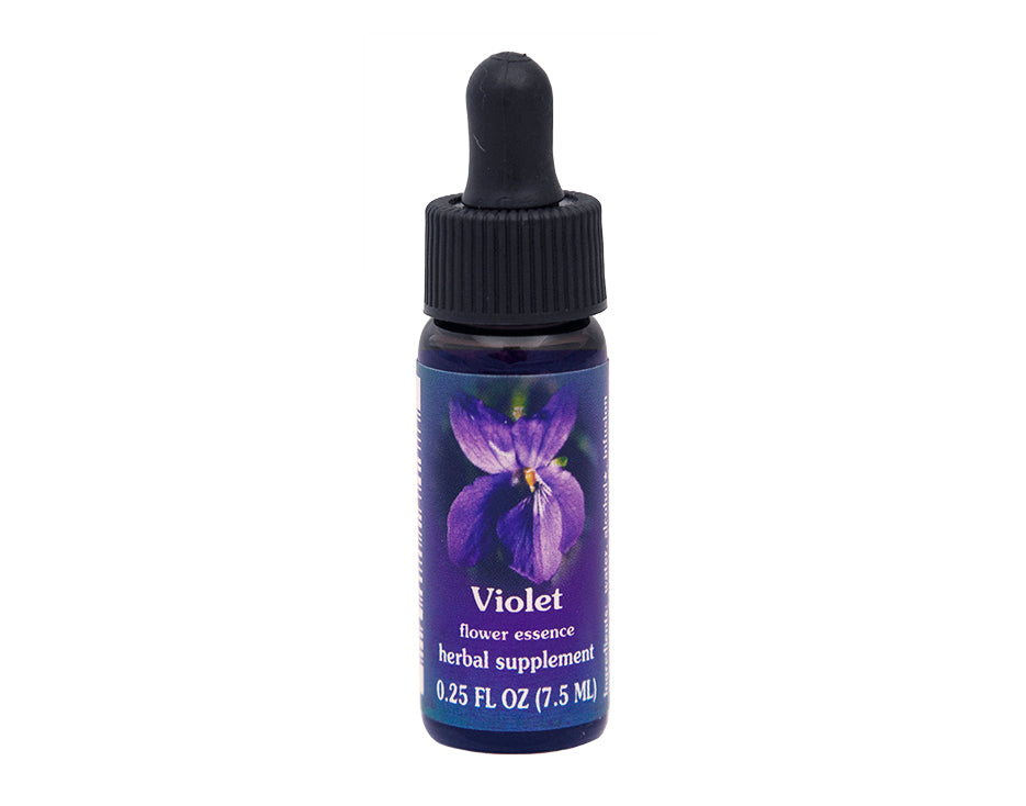 Violet Flower Essence – Rebecca's Herbal Apothecary