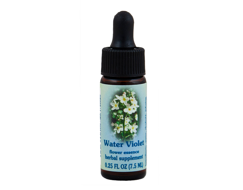 Water Violet Flower Essence Rebecca's Herbal Apothecary
