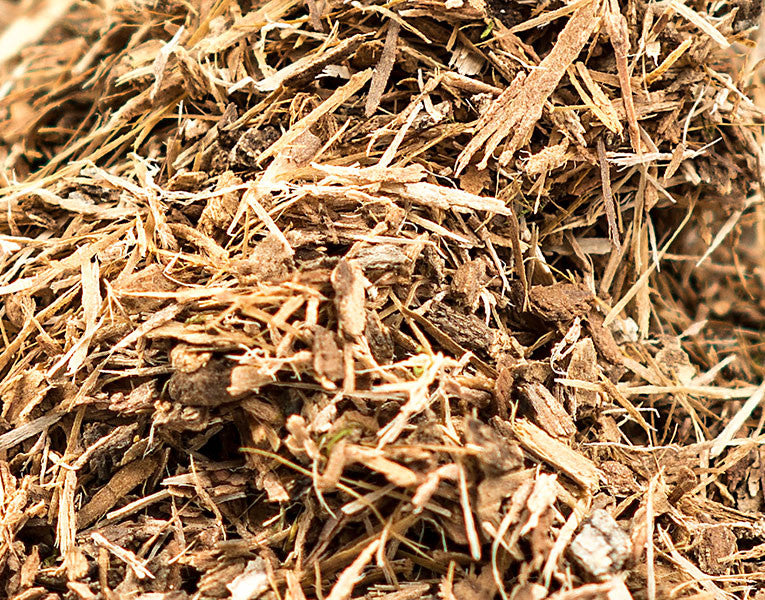 White Oak Bark