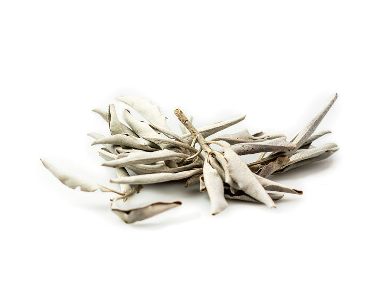 Sage Leaf, White (Ceremonial)