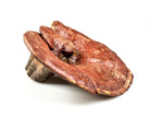 Reishi Mushroom, Whole