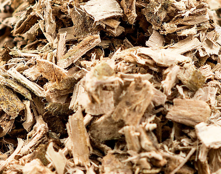 Willow Bark, White