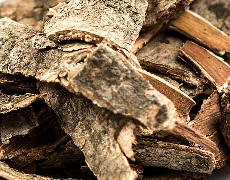 Witch Hazel Bark